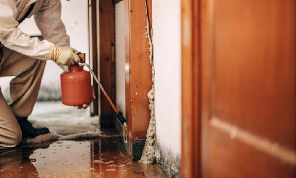 Water Damage Cleanup in a Humid Climate: Drying, Mold Prevention, and Recovery